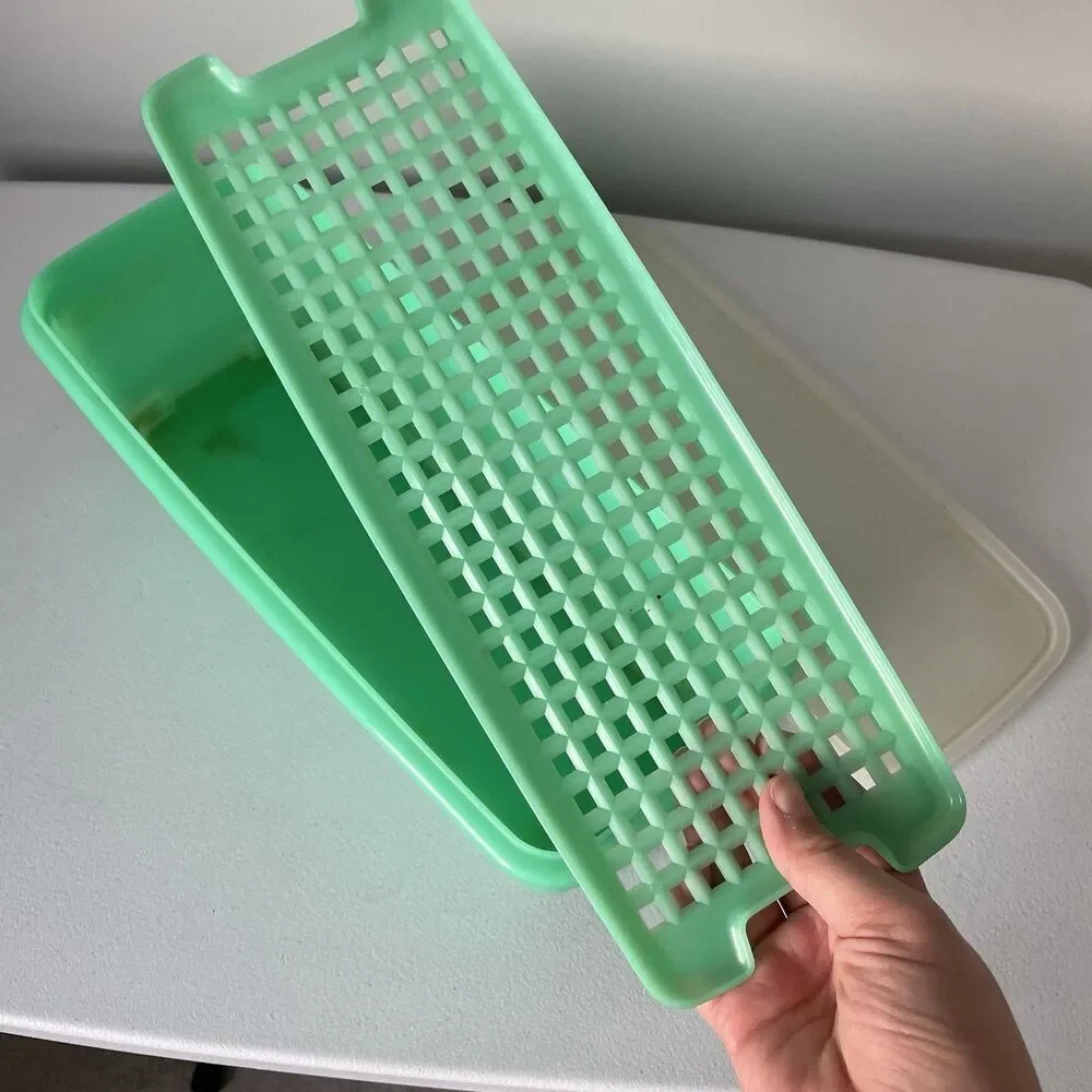 Vintage Tupperware Jade Green Celery Vegetable Keeper Crisper With Tray USA